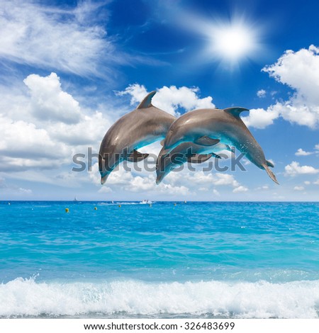 three jumping dolphins, sunny seascape with deep  ocean