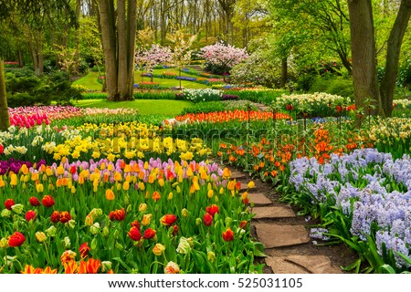 Similar – Image, Stock Photo Beautiful Garden with blooming trees during spring time