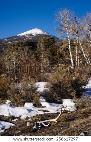 Bald Mountain Great Basin National Park Nevada United States