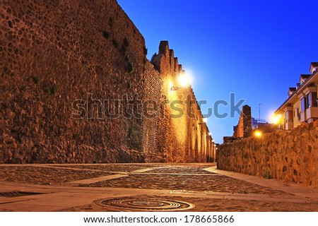 Night image of the medieval streets of the city of Leon, Spain
