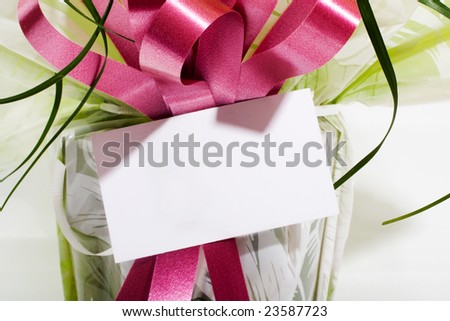 plant for present with blank card with copy space