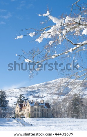 tranquil snow scenery with picturesque mansion house, mountains and bare trees in blue sky. vertical composition