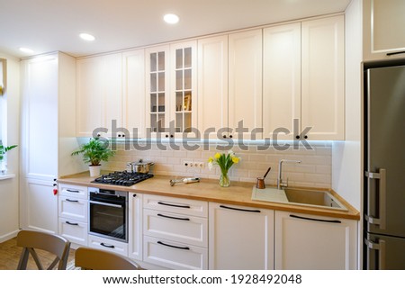 cozy well designed modern kitchen interior with appliances and carpet
