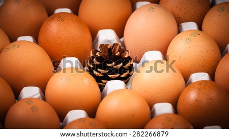 A pine cone sits among eggs representing being different, but adds no value.  Being different just isn\'t enough.