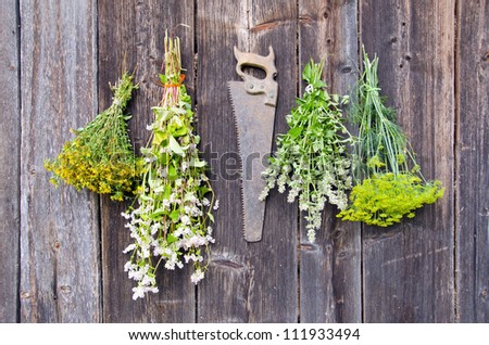 various herbs bunches on old wooden wall