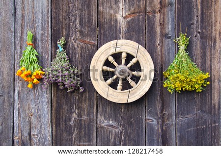 vintage wooden wheel and medical herbs bunch on old wooden farm wall