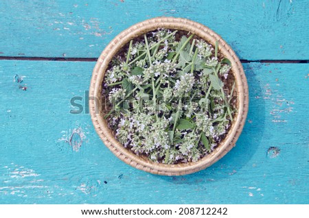 balm lemon-balm mint medical healthy herbal plant leaves in in wooden plate