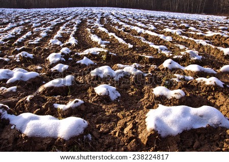 plowed winter farmland field covered snow landscape