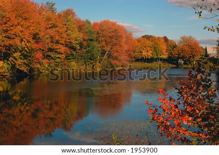 Typical fall scene in the Boston area, Massachusetts. Oak and other trees showing their fall foliage by a lake.