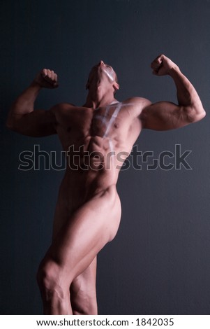 Muscular body builder