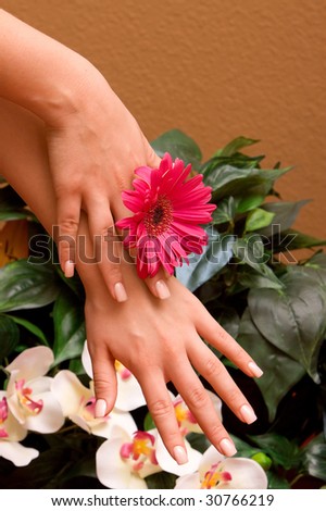 Woman\'d manicured hands with flowers