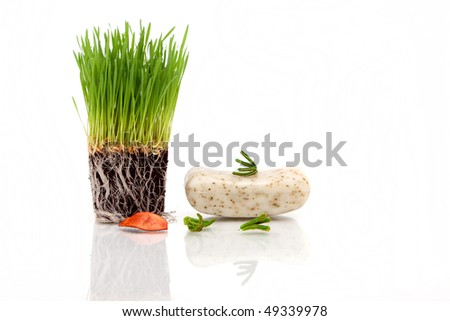 Fresh wheatgrass and bar of soap for spa decor