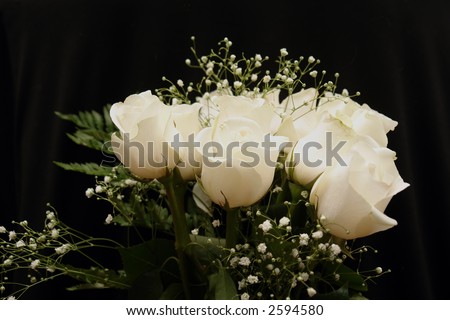 Image of white roses on a black background