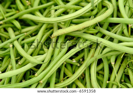 full image of fresh green string beans, can be used as background image