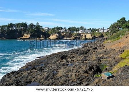 scenic image of waves crashing on the oregon coast, with seagulls on the ledge and houses in the background