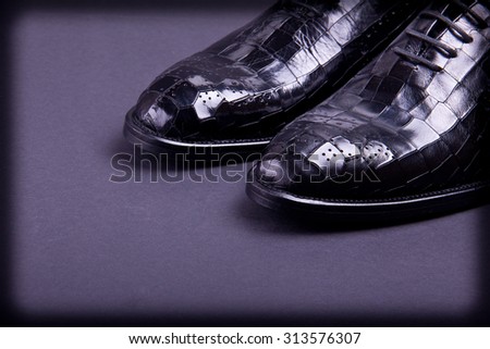 Stylish men's shoes on gray background. Crocodile leather. Place for text. Vignetted.