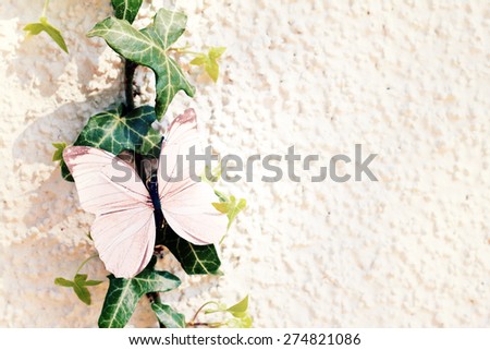 nature greeting card background butterfly on ivy