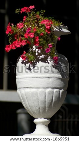 vase with flower in the full blaze of the sun