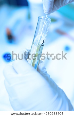 Scientist doing chemical test in laboratory take with blue filter