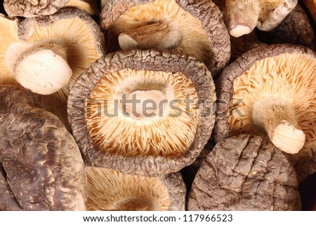 shiitake mushrooms, a delicacy, used in medicine as a preventive, restorative, stimulant from disease