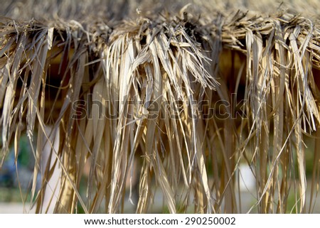 The leaves of brown thatched roof, used as background, sun, wind and rain have thatched roofs.