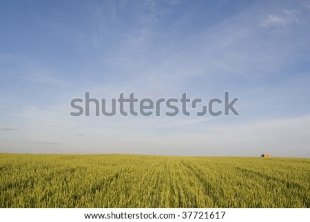 Yellow car goes through countryside landscape