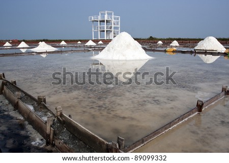 beautiful landscape of a summer with a salt farm in Tainan