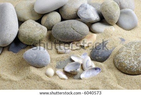 sea shells on golden sand; differential focus