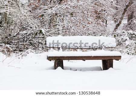 one bench bench in a snowy white winter forest