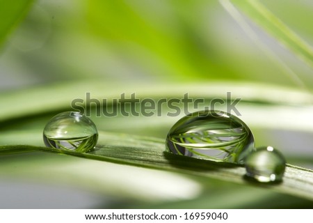 Similar – Image, Stock Photo Grass blades with dew drops bokehlicious