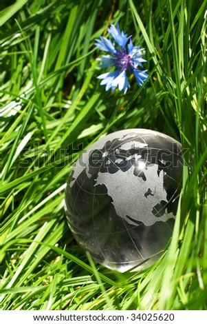Globe in a grass, ecology