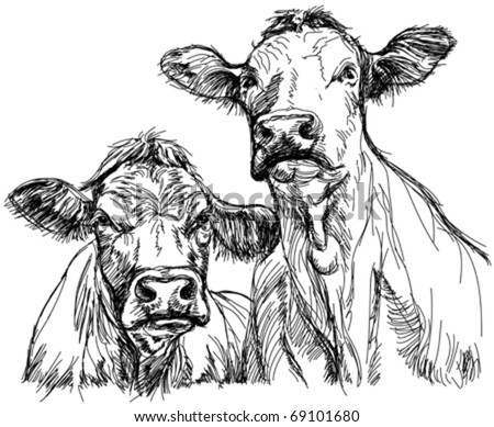 Similar – Image, Stock Photo Cow herd 2 in the fog above the Achensee in Tirol in Austria