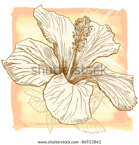 Hibiscus Flower - Hand Draw. Bitmap Copy My Vector Id 11813665 ...