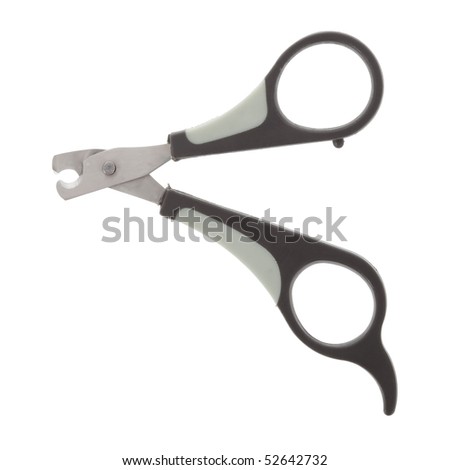 Nail clipper for cats or small dogs isolated on white background