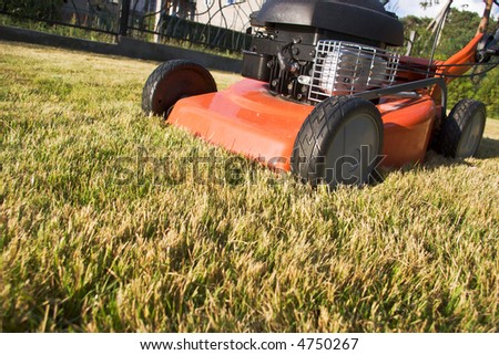 motor driven lawnmower on the turf