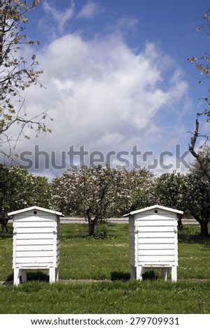 Two white bee houses in early springtime and blooming appletrees in the background