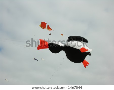 Ugly Duck Kite