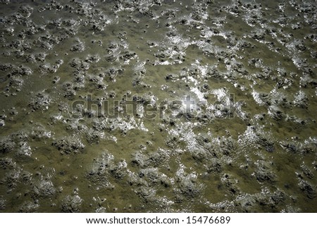 Wadden Sea Floor - Low water at the Danish Wadden Sea National Park.