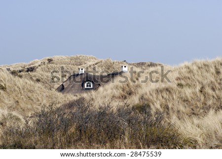 Holiday house in the sand dunes with thatched roof close to the North Sea.