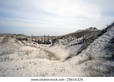 Sand dunes all over on Skallingen in Jutland, Denmark.