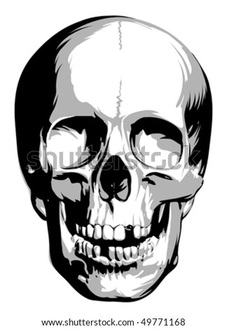 Skull Stock Vector Illustration 49771168 : Shutterstock