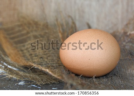 Raw egg on hen nest.
