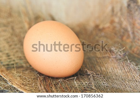 Raw egg on hen nest.