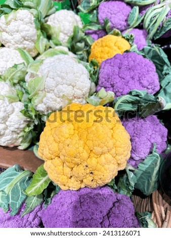 Similar – Foto Bild Blumenkohlsorte auf mehrfarbigem Hintergrund