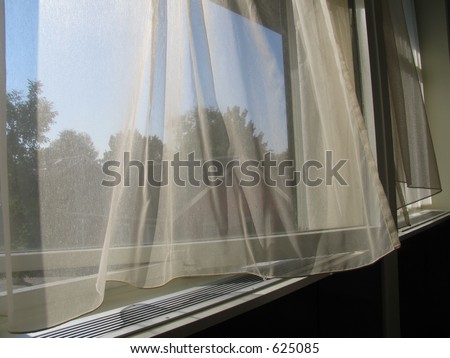 Curtains blowing in the wind a hot summer day.