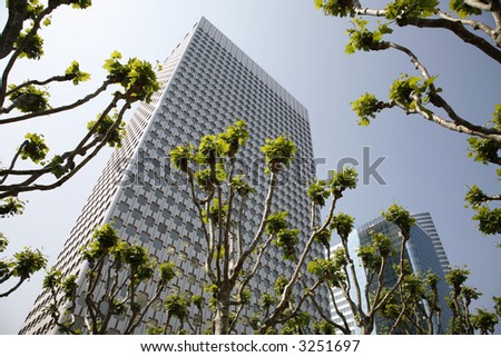 Pollarded plane trees and office buildings at springtime - La Defense, Paris.
