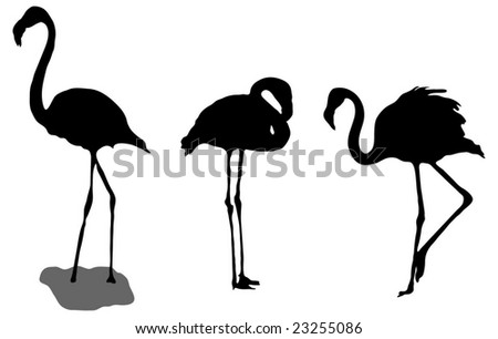 Series Of Flamingo Silhouettes Stock Vector Illustration 23255086 ...