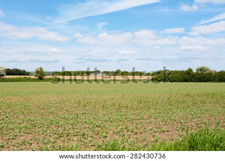 Farmland with young crops starting to grow in the spring, agricultural buildings beyond