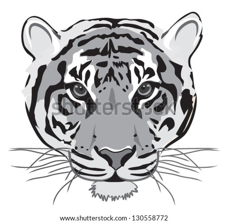 Tiger Black White Outline Stock Vector Illustration 130558772 ...