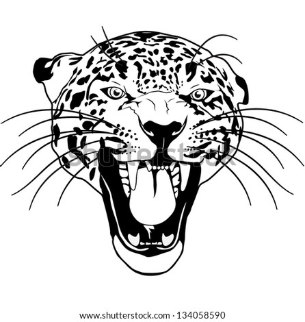 Leopard Wild Cat Outline Black And White Vector - 134058590 : Shutterstock